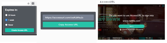 access-url-netflix