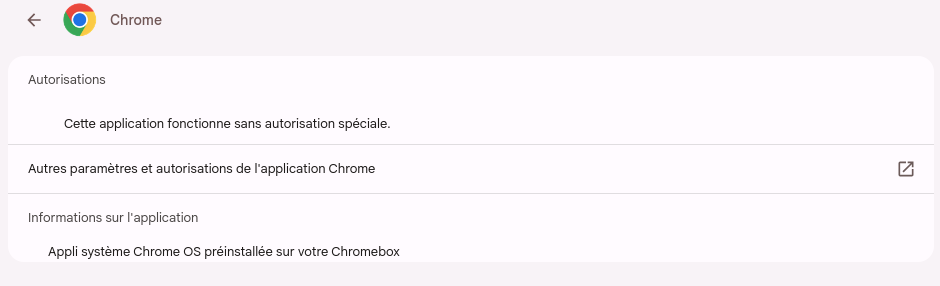 Des informations plus complètes sur les applications s’affichent dans Chrome OS